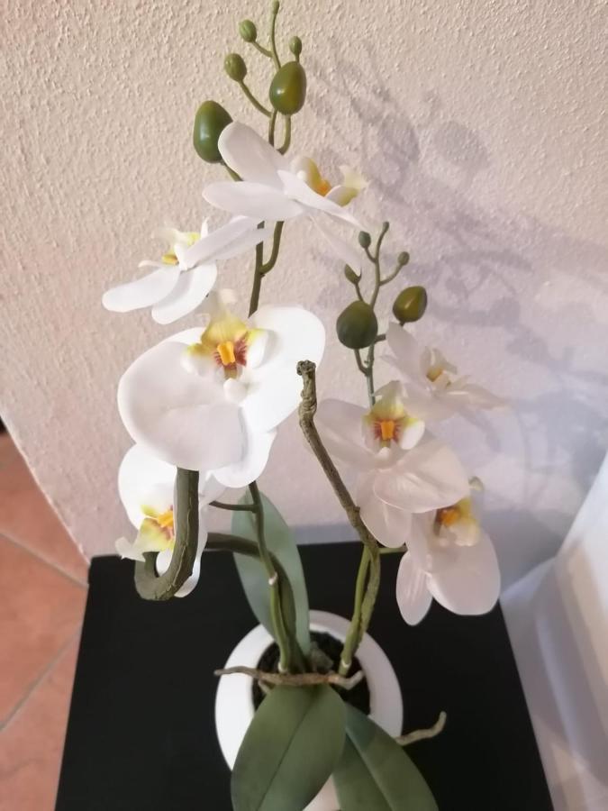 דירות לריצ'י Perla Del Golfo מראה חיצוני תמונה